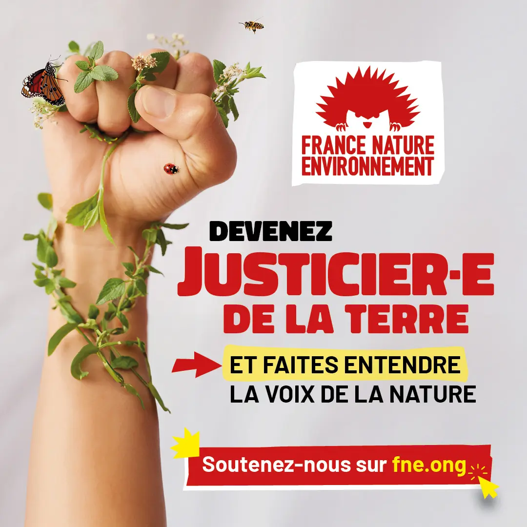 FNE, justiciers de la terre